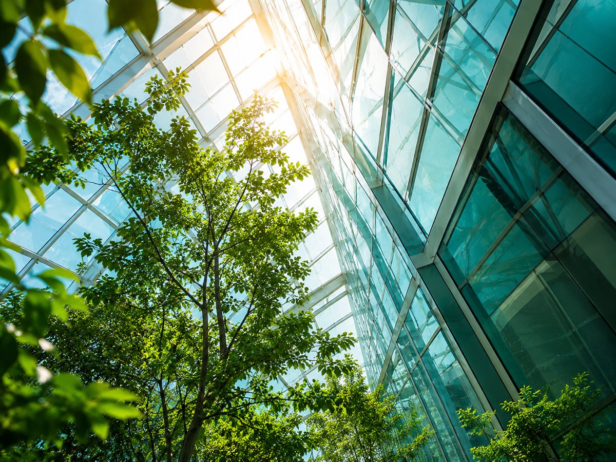 Sunlit glass atrium filled with green trees